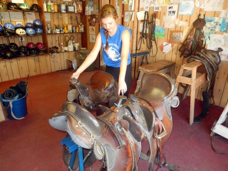 Cassidy explains the difference in horse saddles