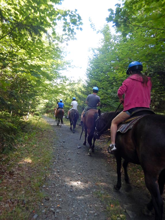 horseback trail ride