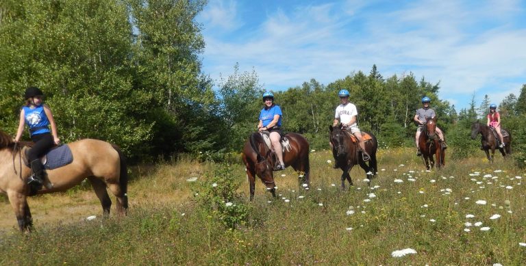 Horseback Riding Adventure