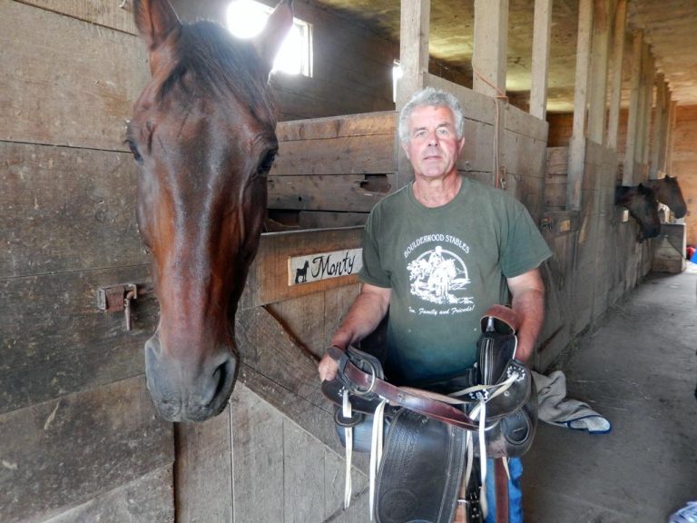 James Wootton unsaddles the horses