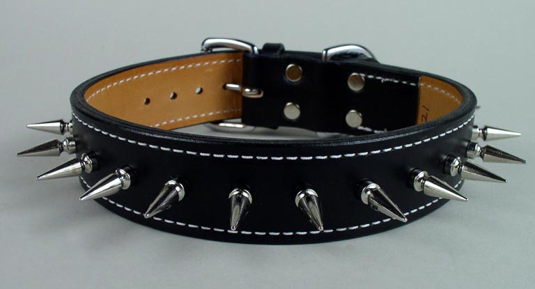 Long spiked tough dog collar.