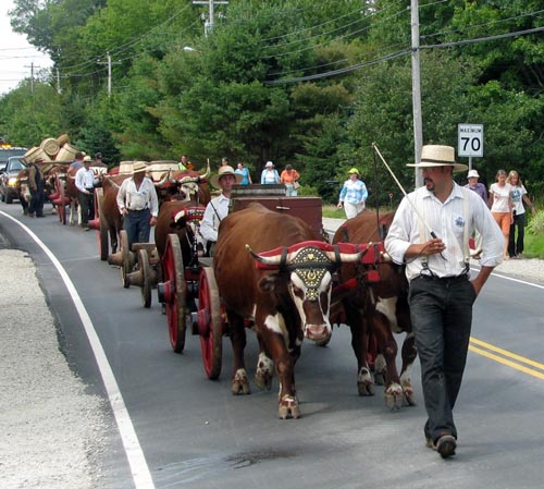 oxen teams from New Ross to Chester Basin