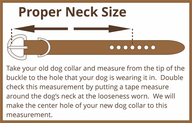 How to Properly Size Dogs' Neck from another Leather Collar.