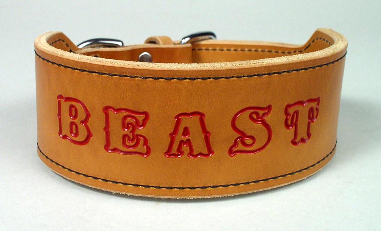 Stamped leather dog clearance collar